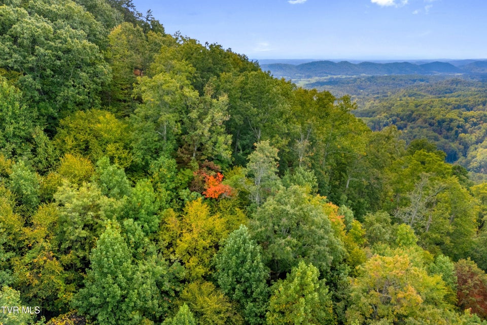 Photo #9: 0 Mcmakin Road