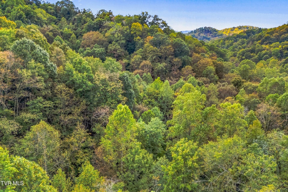 Photo #10: 0 Mcmakin Road