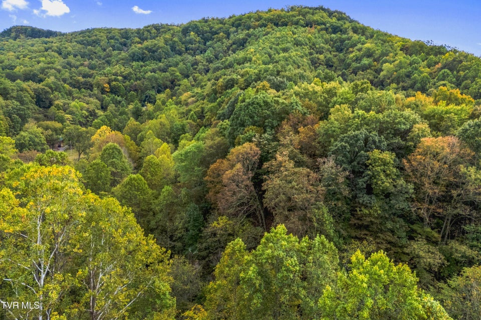 Photo #11: 0 Mcmakin Road