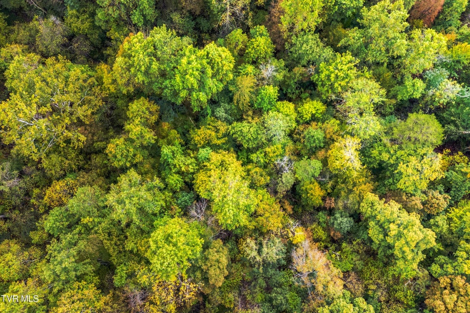 Photo #12: 0 Mcmakin Road