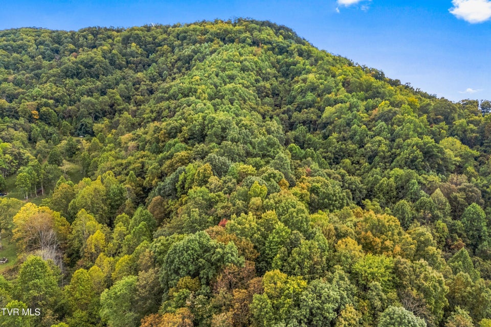 Photo #13: 0 Mcmakin Road