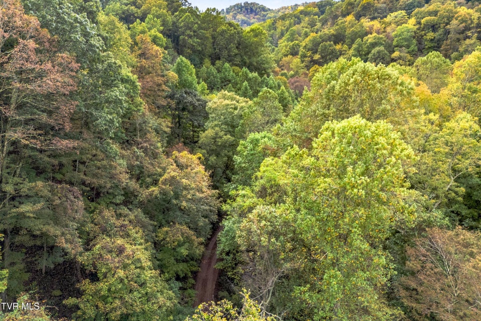 Photo #14: 0 Mcmakin Road