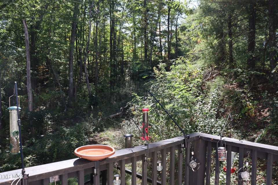 Photo #35: 48 Laurel Ridge