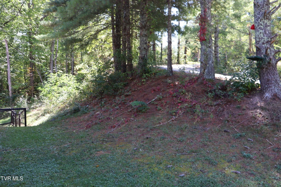 Photo #40: 48 Laurel Ridge