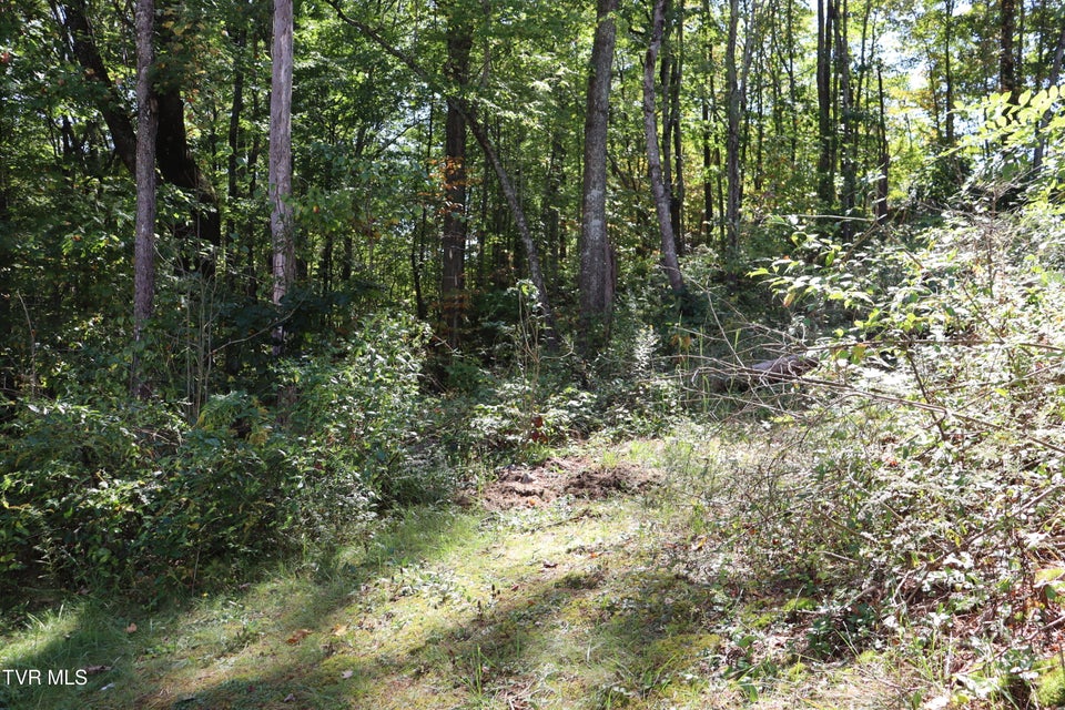 Photo #44: 48 Laurel Ridge