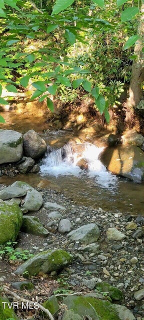 Photo #29: 368 Burbank Road