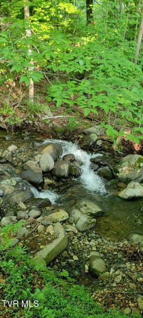 Photo #30: 368 Burbank Road