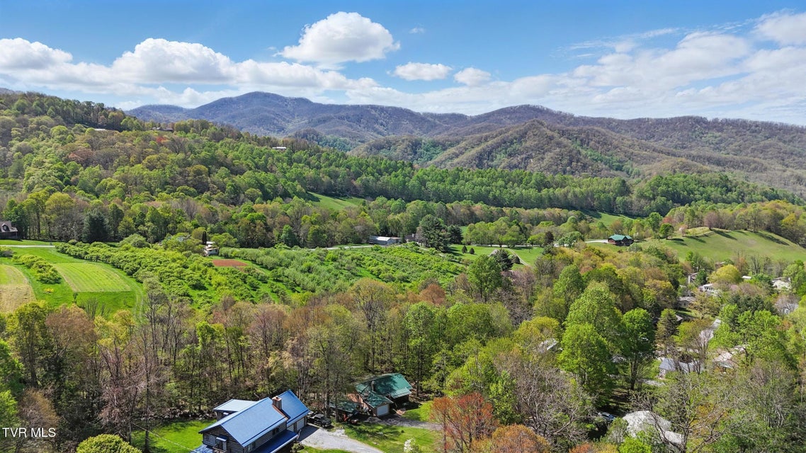 Photo #31: 368 Burbank Road