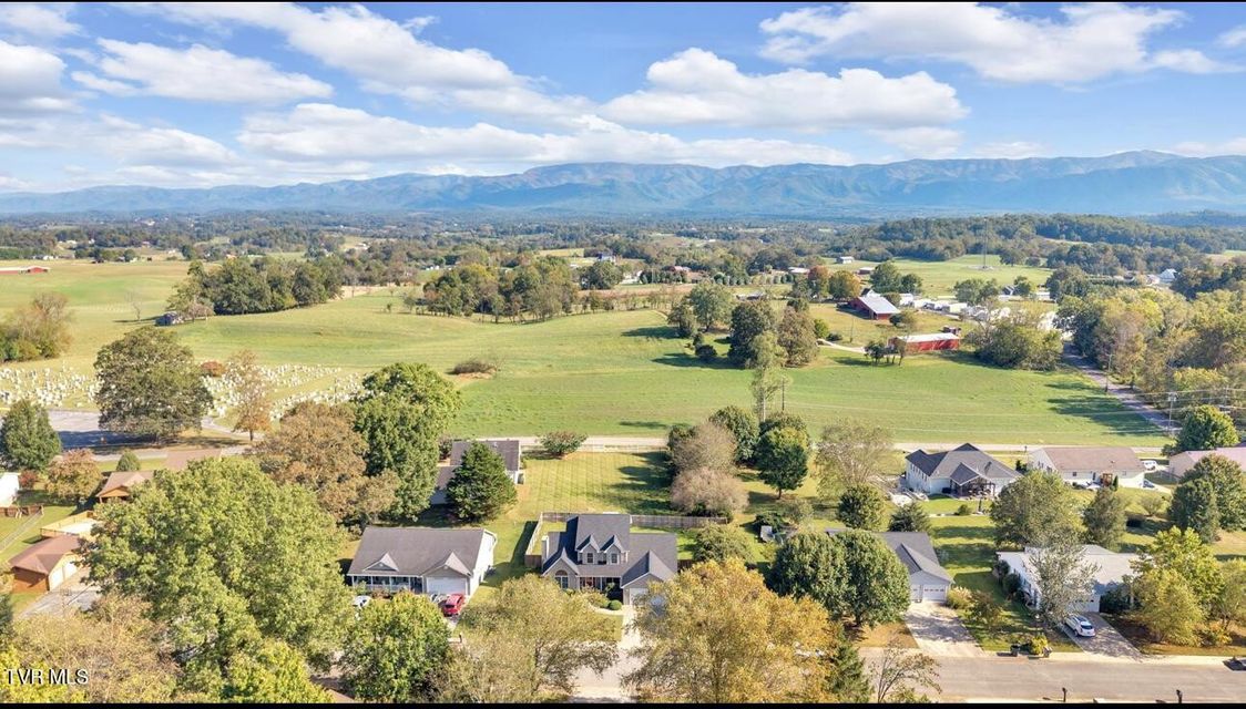 Photo #43: 31 Colricia Drive