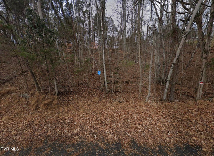 Photo #2: 308 Sugar Hollow Trail