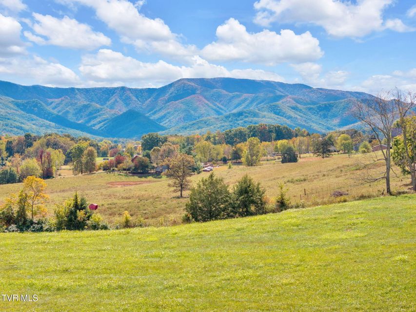 Photo #23: 3059 Hwy 107 