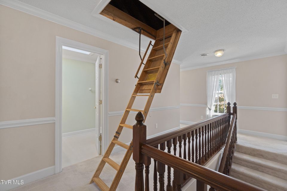 Photo #29: 102 Magnolia Drive