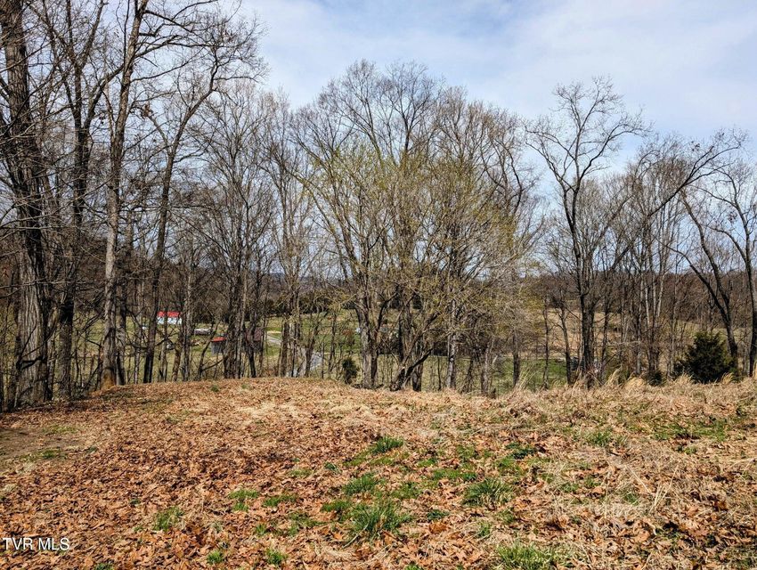 Photo #9: 741 Hedge Drive