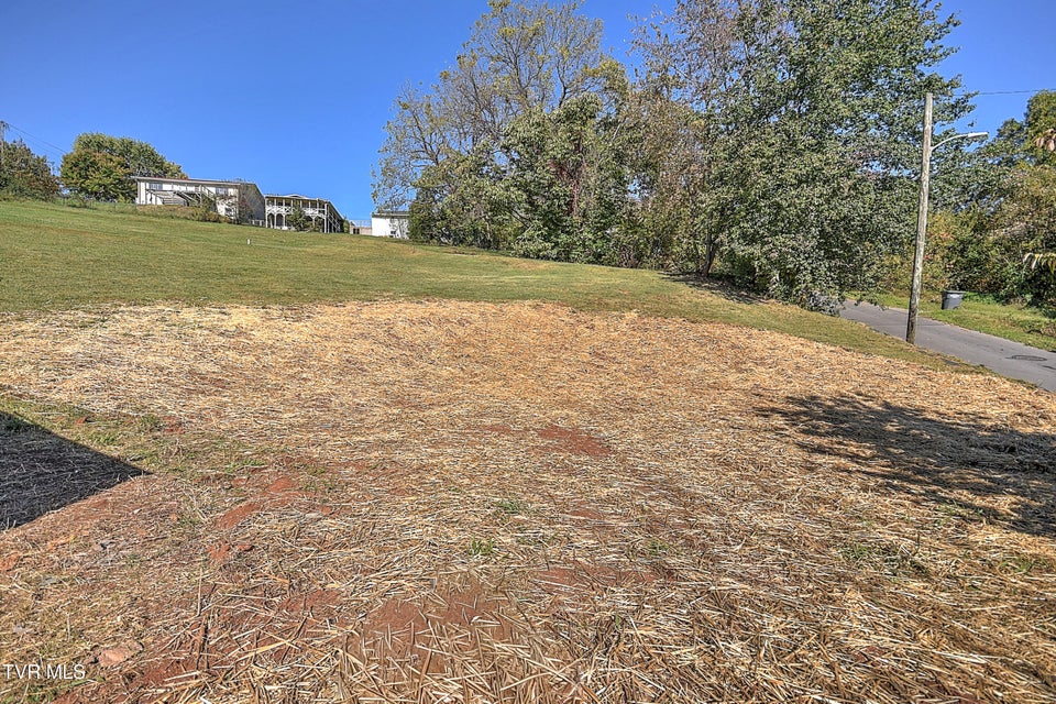 Photo #38: 1302 Camelia Avenue