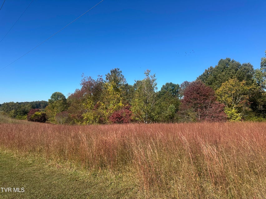 Photo #2: 113 Briarpatch Court