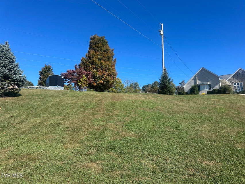 Photo #3: 113 Briarpatch Court