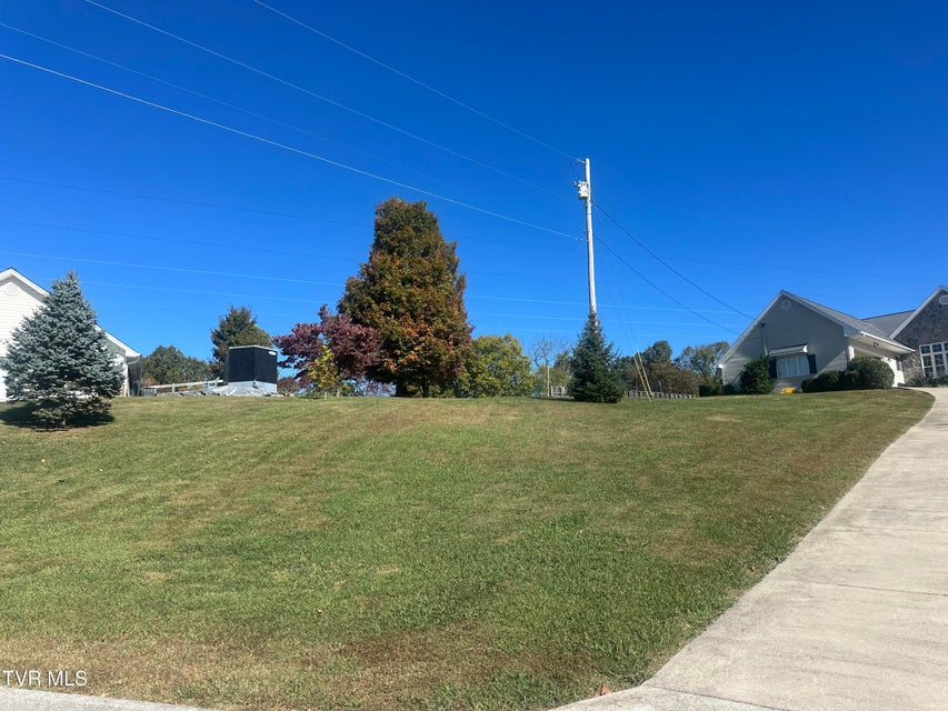 Photo #4: 113 Briarpatch Court