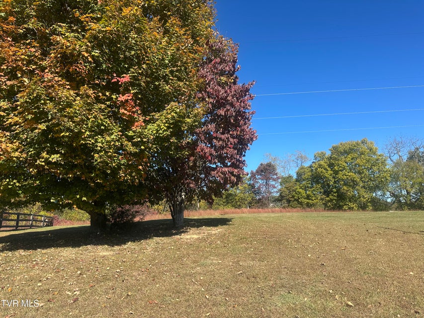 Photo #5: 113 Briarpatch Court