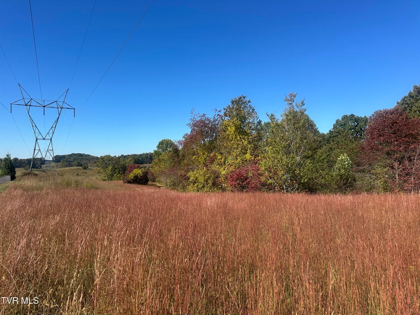 Photo #6: 113 Briarpatch Court