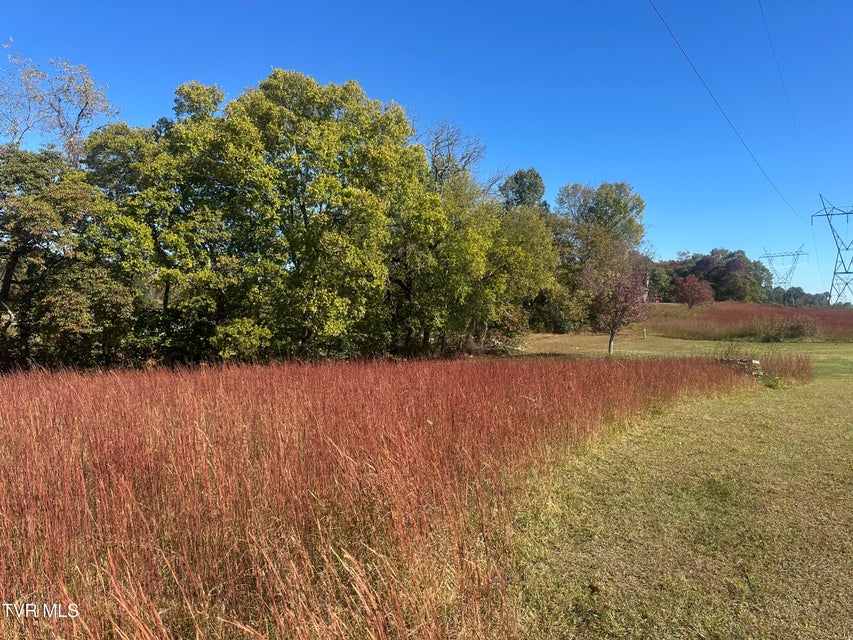 Photo #7: 113 Briarpatch Court