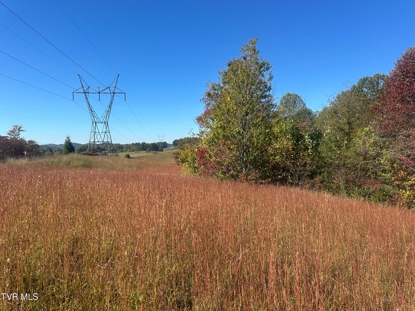 Photo #8: 113 Briarpatch Court