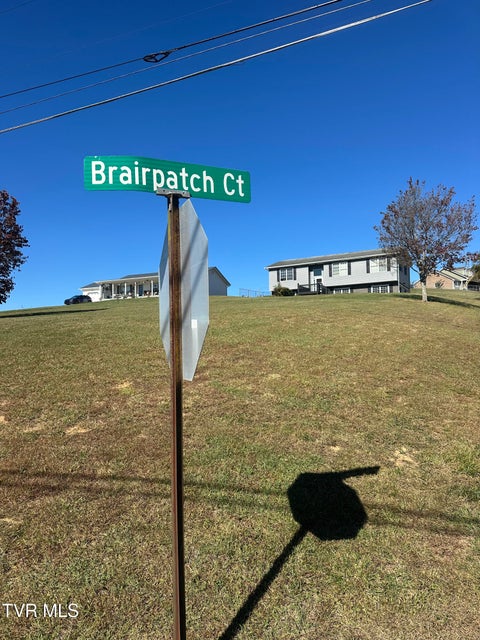 Photo #10: 113 Briarpatch Court