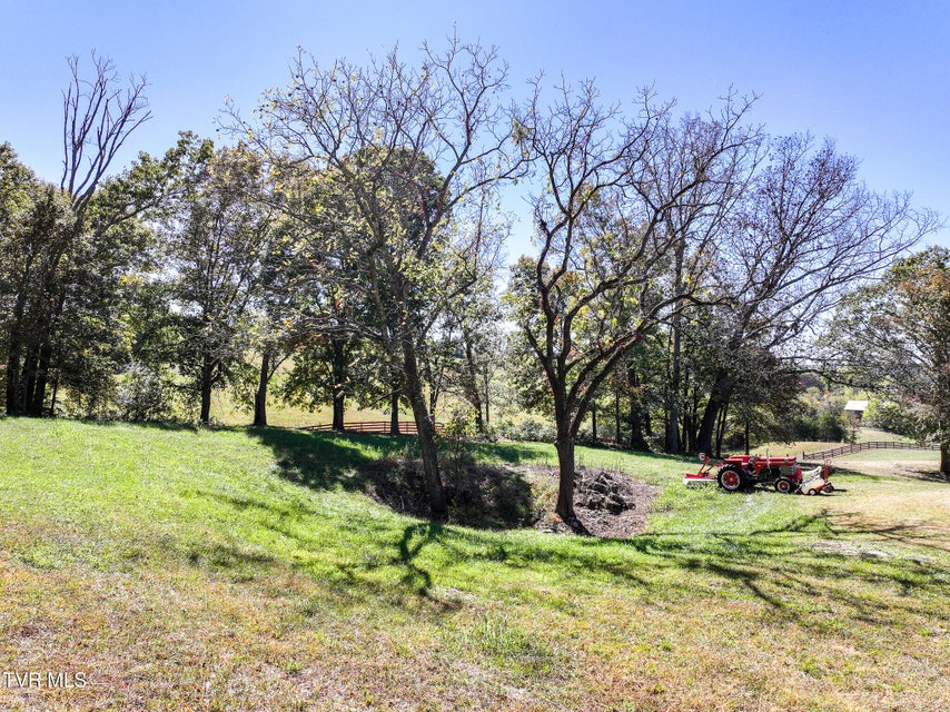 Photo #19: 745 Sinking Springs 