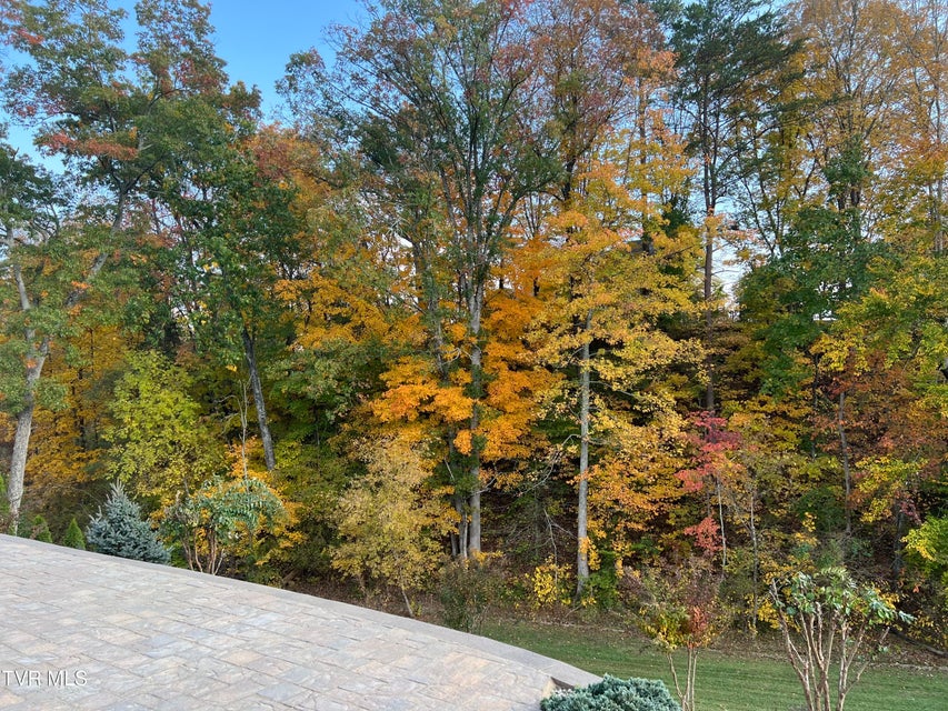 Photo #88: 5079 Rose Gardens Circle