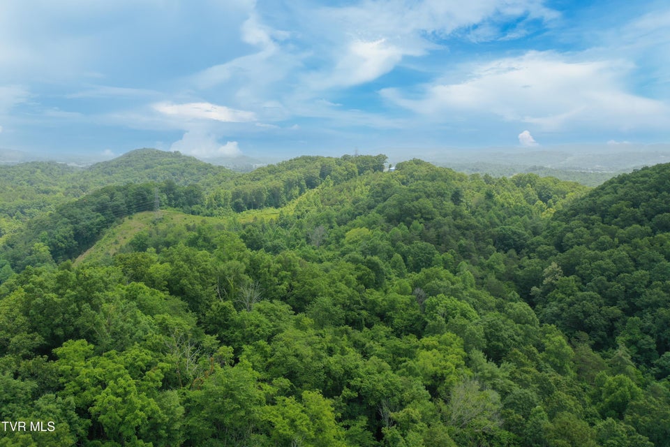 Photo #25: 00 Lone Star Road