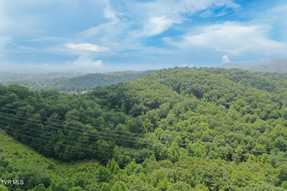 Photo #23: 00 Lone Star Road