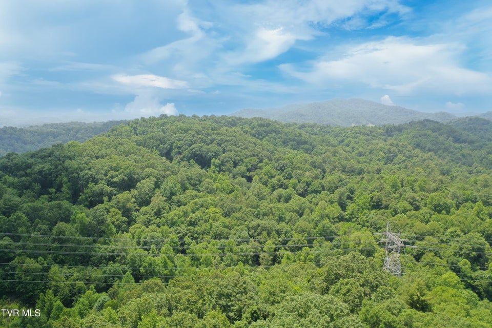 Photo #22: 00 Lone Star Road