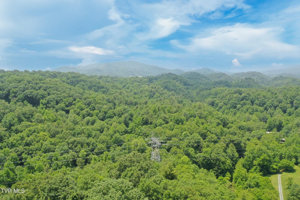 Photo #21: 00 Lone Star Road