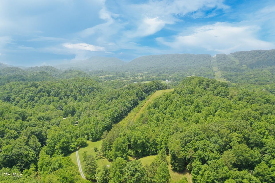 Photo #20: 00 Lone Star Road