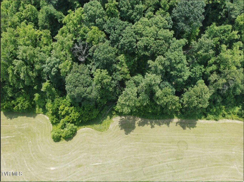 Photo #7: 00 Lone Star Road