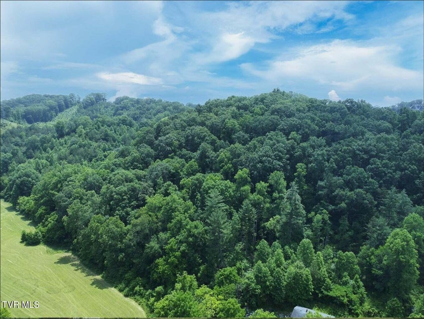 Photo #12: 00 Lone Star Road
