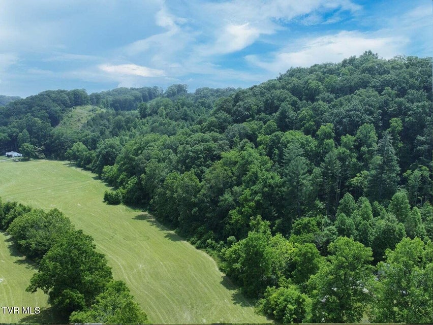 Photo #13: 00 Lone Star Road