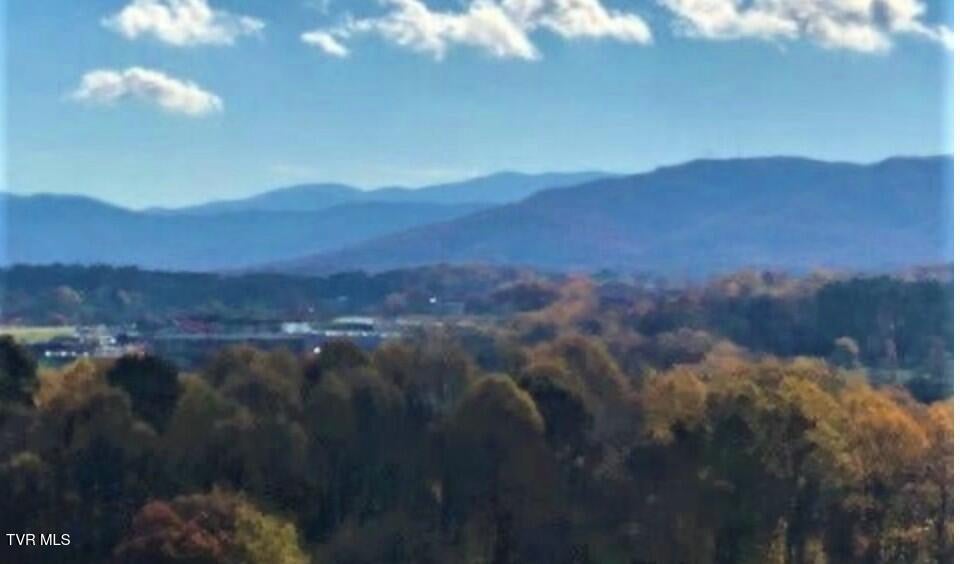 Photo #10: 000 Stoneridge Drive