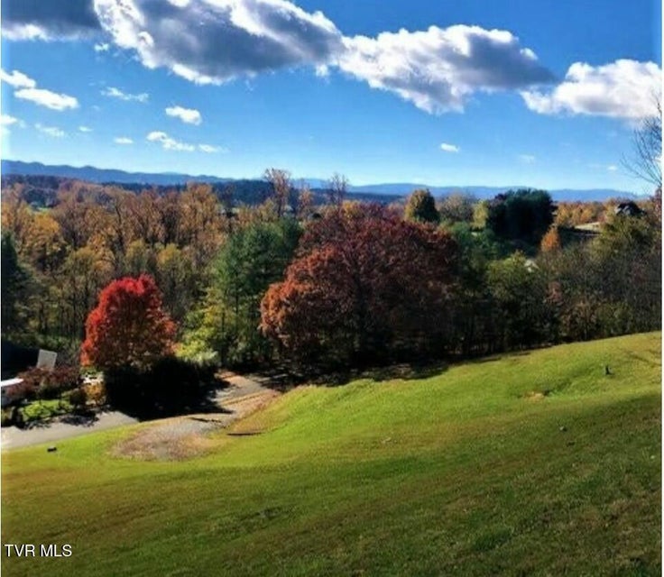 Photo #11: 000 Stoneridge Drive