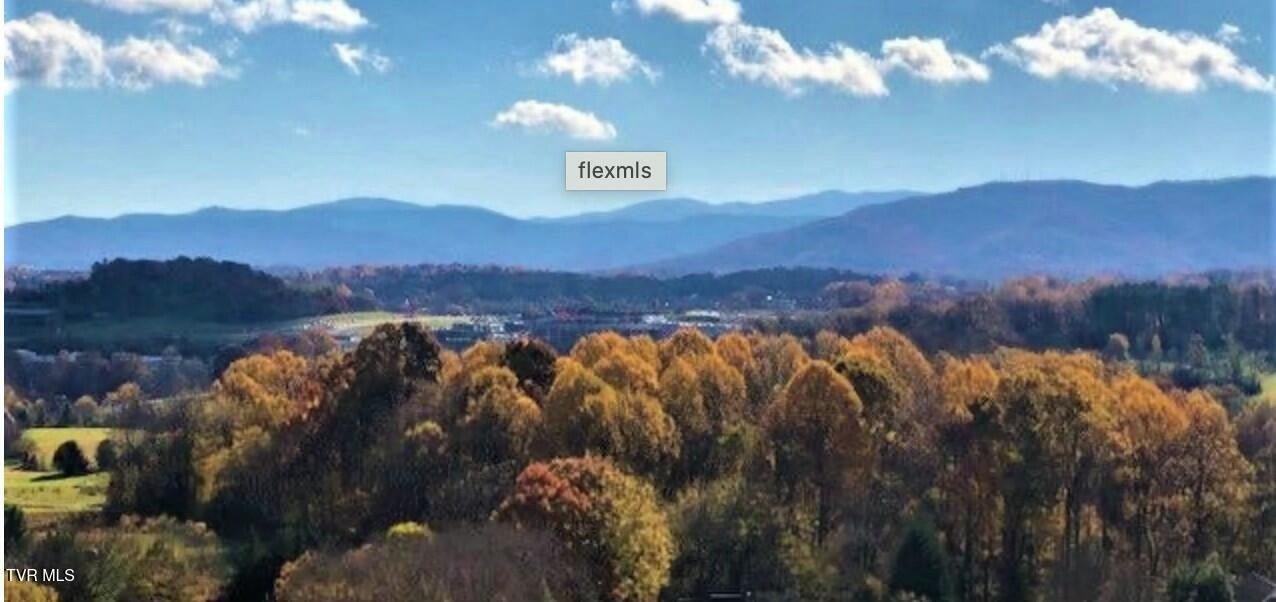 Photo #4: 000 Stoneridge Drive