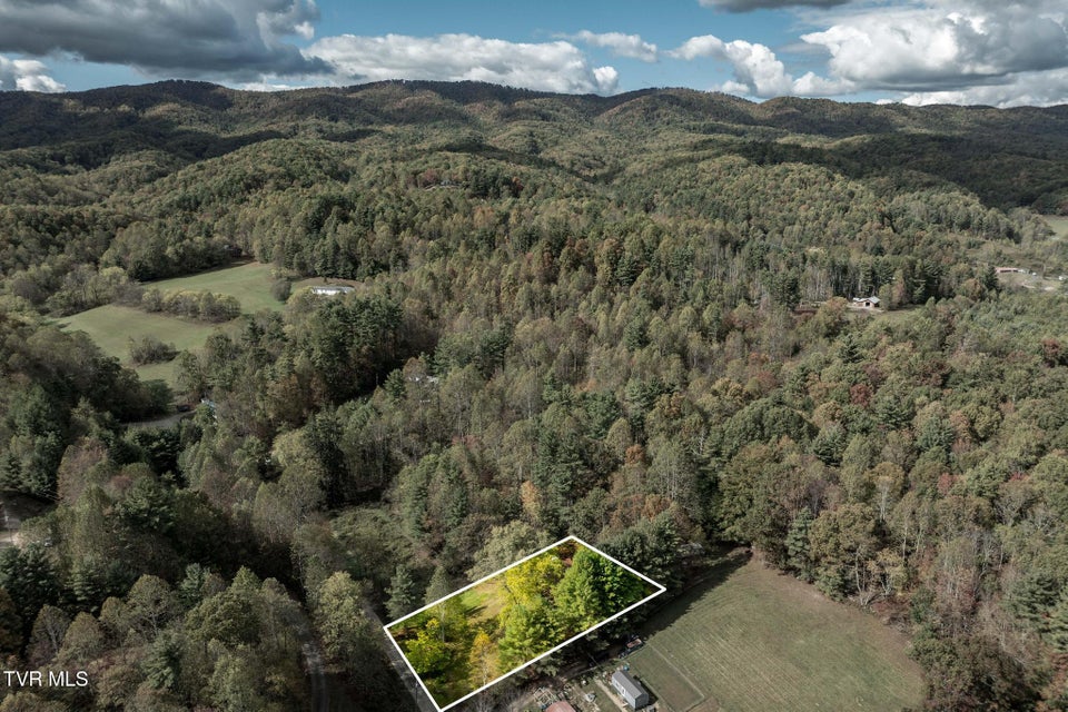 Photo #48: 400 Blant Road