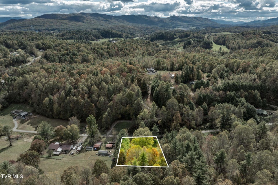 Photo #49: 400 Blant Road