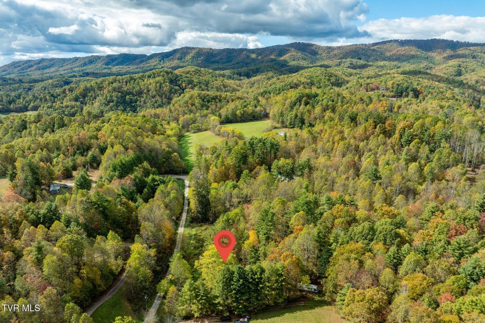 Photo #50: 400 Blant Road