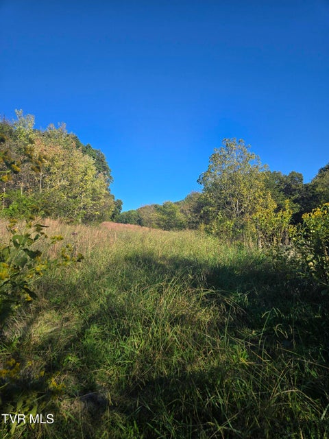 Photo #3: Tbd Old Baileyton Road