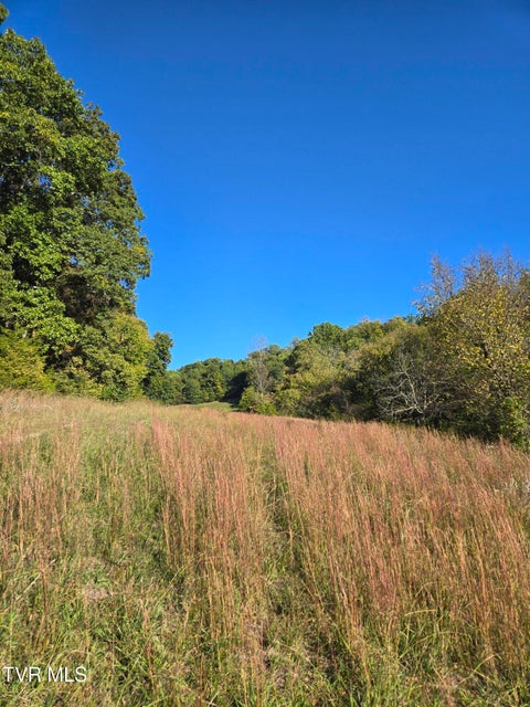 Photo #4: Tbd Old Baileyton Road