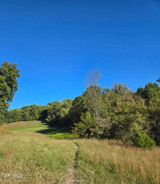 Photo #5: Tbd Old Baileyton Road