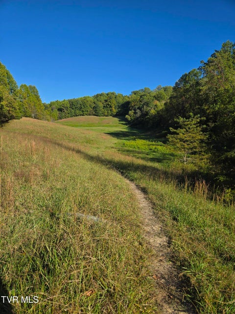 Photo #6: Tbd Old Baileyton Road