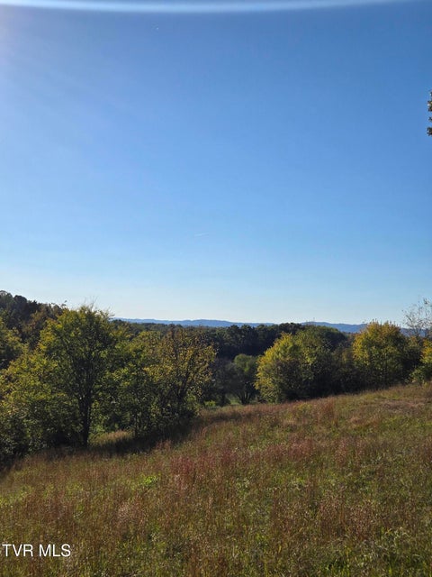 Photo #7: Tbd Old Baileyton Road