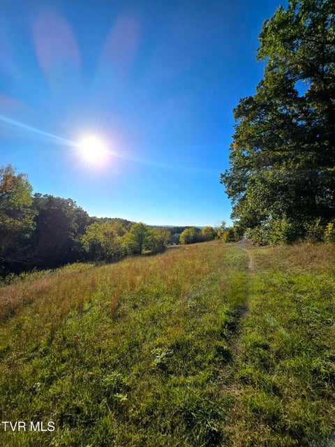 Photo #8: Tbd Old Baileyton Road