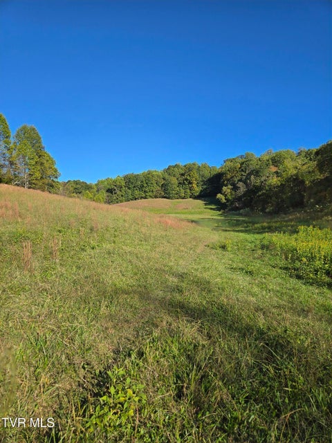 Photo #10: Tbd Old Baileyton Road