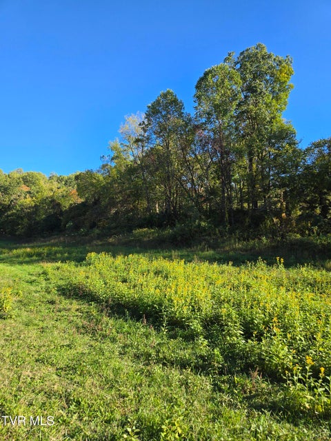 Photo #11: Tbd Old Baileyton Road